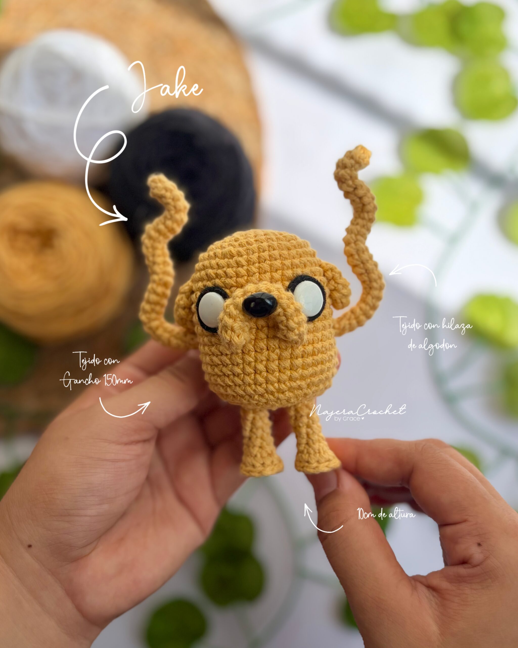 Jake - Patrón Digital